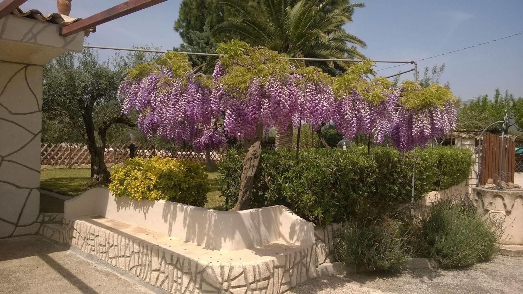 Le Zarafe Villa Ribera Dış mekan fotoğraf